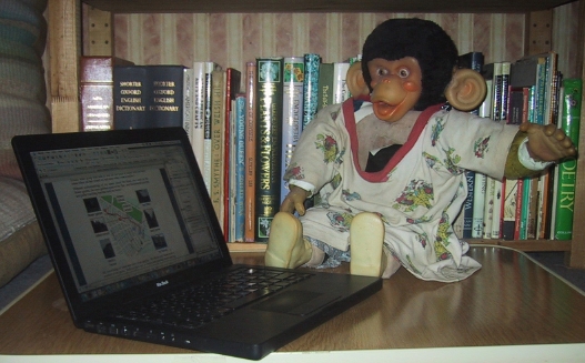 my monkey at the computer